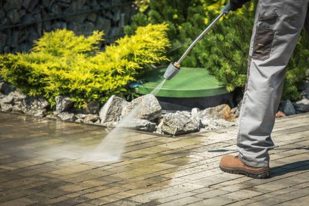 Best Solar Panel Cleaning  in St Petersburg, FL
