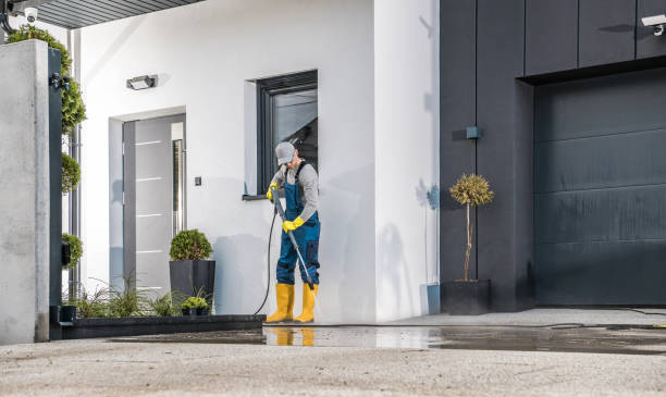 Best Dumpster Area Cleaning  in St Petersburg, FL